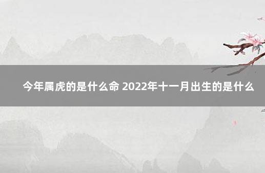 今年属虎的是什么命 2022年十一月出生的是什么命