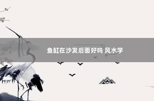 鱼缸在沙发后面好吗 风水学