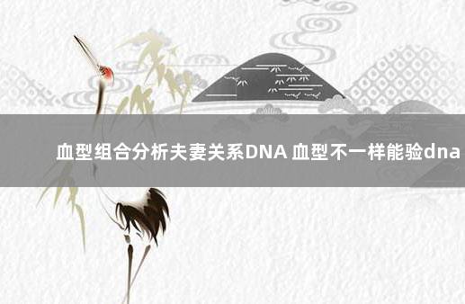 血型组合分析夫妻关系DNA 血型不一样能验dna吗