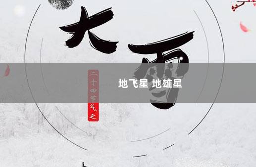 地飞星 地雄星