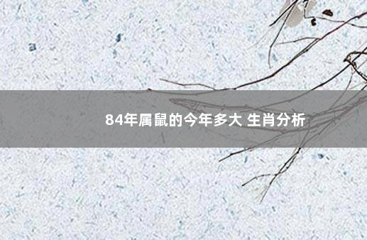 84年属鼠的今年多大 生肖分析