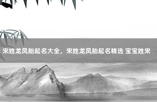 宋姓龙凤胎起名大全，宋姓龙凤胎起名精选 宝宝姓宋取什么名字好