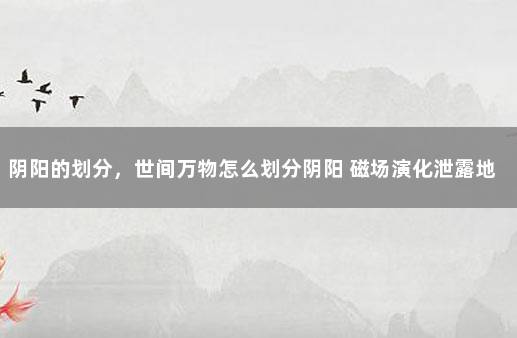阴阳的划分，世间万物怎么划分阴阳 磁场演化泄露地球形成天机