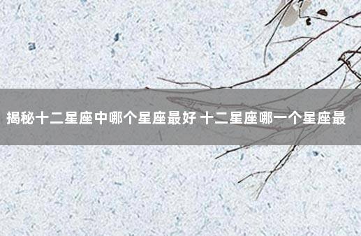 揭秘十二星座中哪个星座最好 十二星座哪一个星座最好