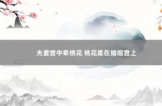 夫妻宫中牵桃花 桃花星在婚姻宫上