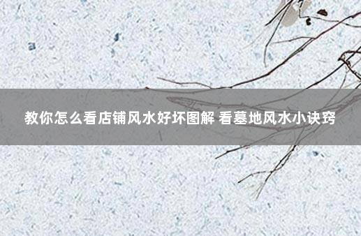 教你怎么看店铺风水好坏图解 看墓地风水小诀窍