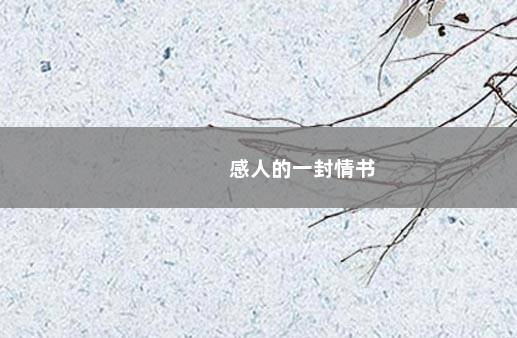 感人的一封情书