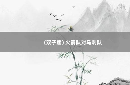 (双子座) 火箭队对马刺队