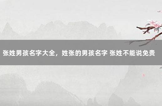 张姓男孩名字大全，姓张的男孩名字 张姓不能说免贵