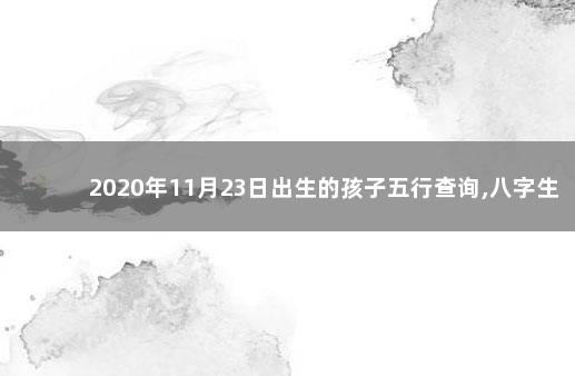 2020年11月23日出生的孩子五行查询,八字生辰命理详解 八字入门