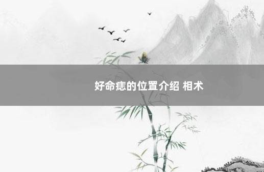 好命痣的位置介绍 相术