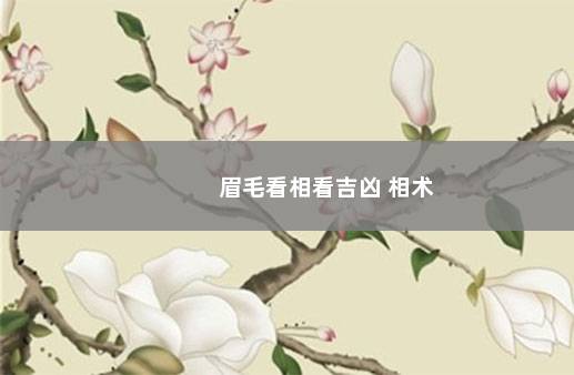 眉毛看相看吉凶 相术