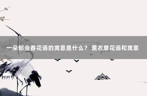 一朵郁金香花语的寓意是什么？ 薰衣草花语和寓意
