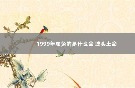 1999年属兔的是什么命 城头土命