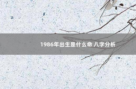 1986年出生是什么命 八字分析