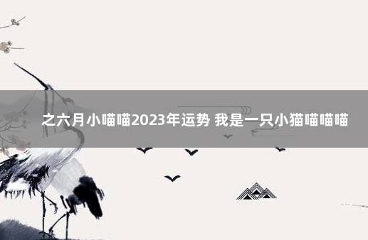 之六月小喵喵2023年运势 我是一只小猫喵喵喵