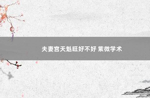 夫妻宫天魁旺好不好 紫微学术