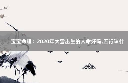 宝宝命理：2020年大雪出生的人命好吗,五行缺什么 宝宝生辰八字黄历信息