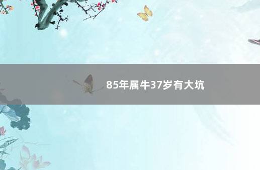 85年属牛37岁有大坑