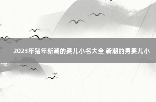 2023年猪年新潮的婴儿小名大全 新潮的男婴儿小名属猪