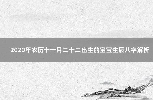 2020年农历十一月二十二出生的宝宝生辰八字解析 生辰八字解析