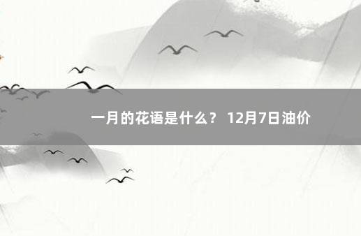 一月的花语是什么？ 12月7日油价