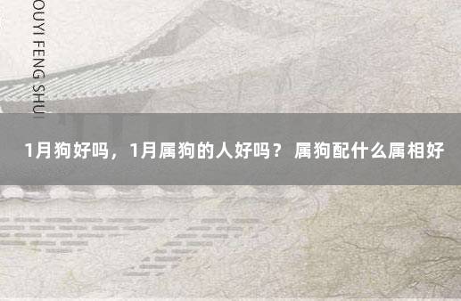 1月狗好吗，1月属狗的人好吗？ 属狗配什么属相好