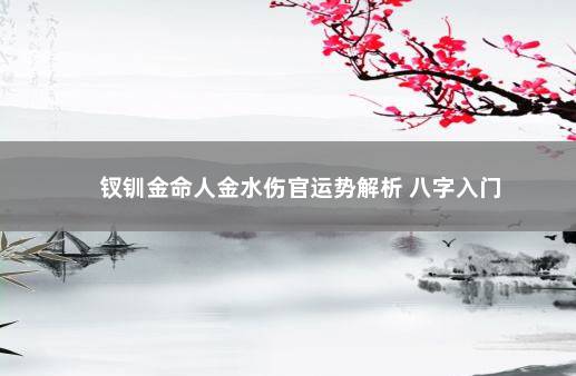 钗钏金命人金水伤官运势解析 八字入门