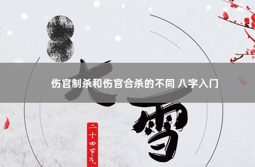 伤官制杀和伤官合杀的不同 八字入门