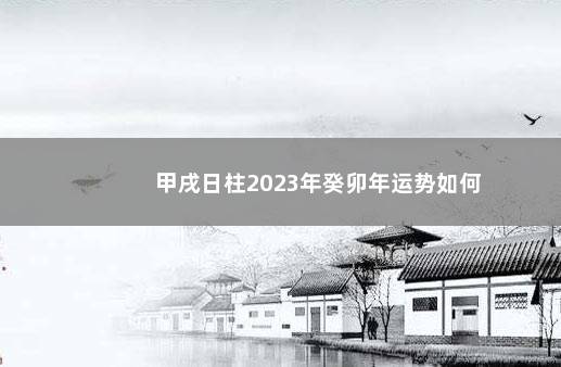 甲戌日柱2023年癸卯年运势如何