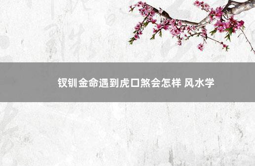 钗钏金命遇到虎口煞会怎样 风水学