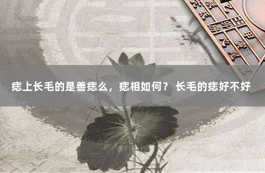 痣上长毛的是善痣么，痣相如何？ 长毛的痣好不好
