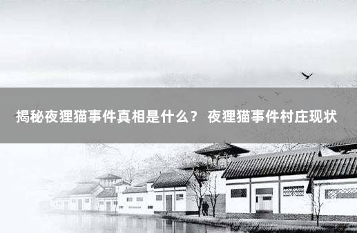 揭秘夜狸猫事件真相是什么？ 夜狸猫事件村庄现状