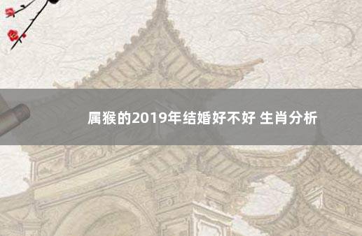 属猴的2019年结婚好不好 生肖分析
