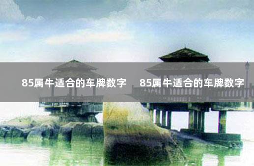 85属牛适合的车牌数字 　85属牛适合的车牌数字