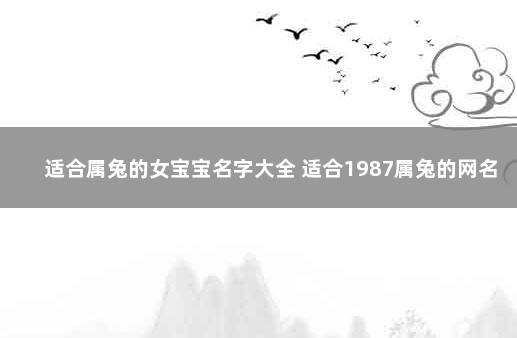 适合属兔的女宝宝名字大全 适合1987属兔的网名