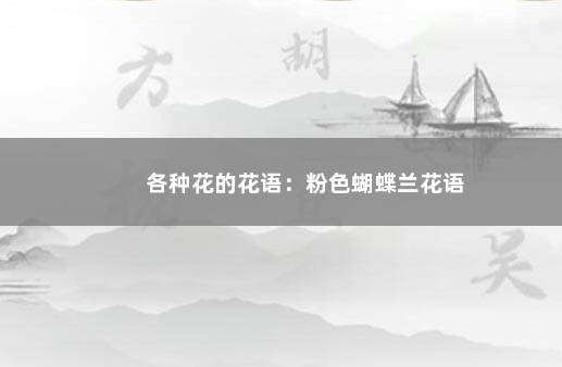 各种花的花语：粉色蝴蝶兰花语