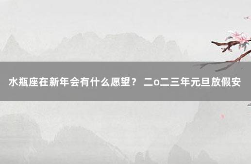 水瓶座在新年会有什么愿望？ 二o二三年元旦放假安排