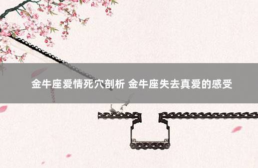 金牛座爱情死穴剖析 金牛座失去真爱的感受