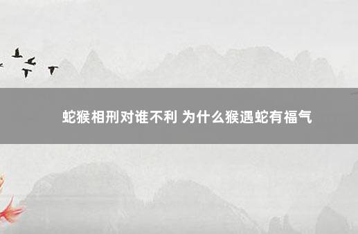 蛇猴相刑对谁不利 为什么猴遇蛇有福气