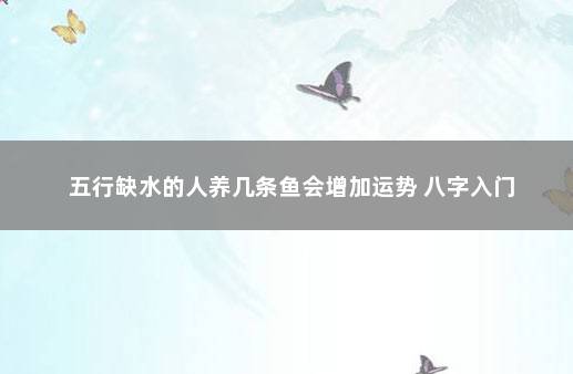 五行缺水的人养几条鱼会增加运势 八字入门