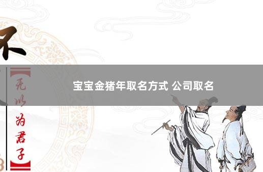 宝宝金猪年取名方式 公司取名