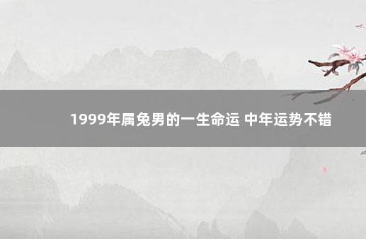 1999年属兔男的一生命运 中年运势不错