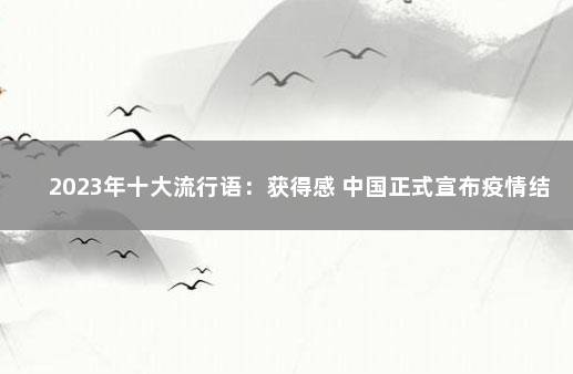 2023年十大流行语：获得感 中国正式宣布疫情结束