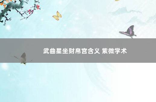 武曲星坐财帛宫含义 紫微学术