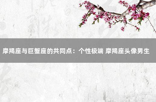 摩羯座与巨蟹座的共同点：个性极端 摩羯座头像男生