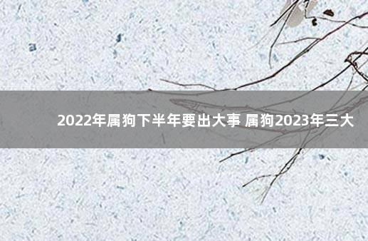 2022年属狗下半年要出大事 属狗2023年三大喜事