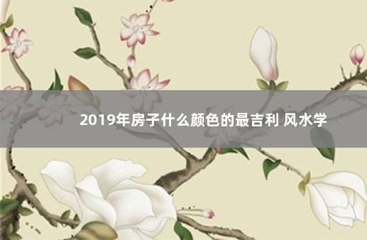 2019年房子什么颜色的最吉利 风水学