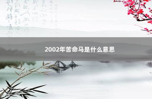 2002年苦命马是什么意思 　　