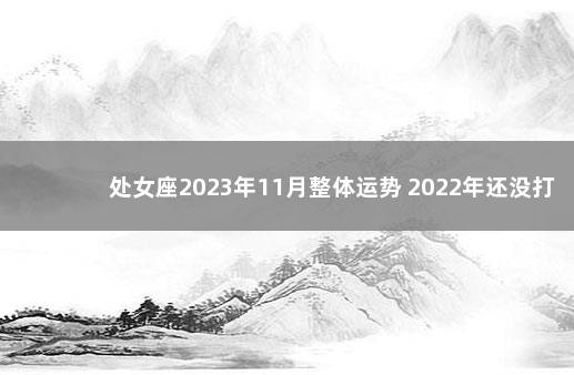 处女座2023年11月整体运势 2022年还没打第一针疫苗